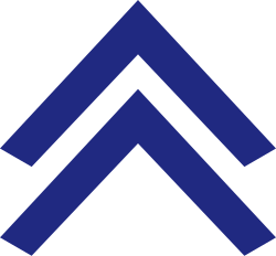 chevron_navy